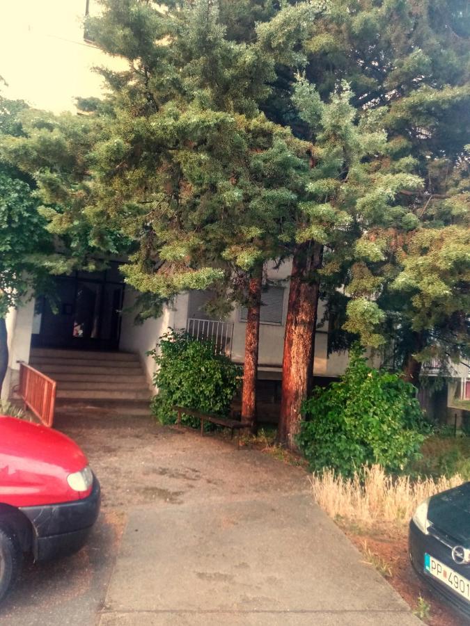 Nadia Apartment Ohrid Bagian luar foto